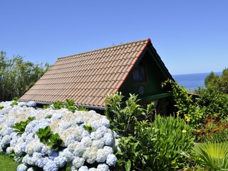 Gartenansicht mit Blick auf das Meer