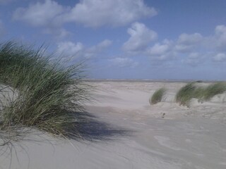 Apartamento de vacaciones Borkum Entorno 11