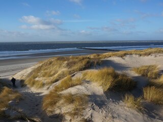 Casa per le vacanze Burgh-Haamstede Ambiente 19
