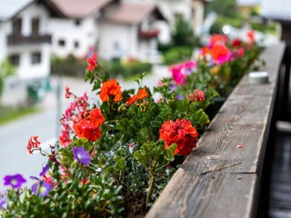 Appartamento Saalbach  30