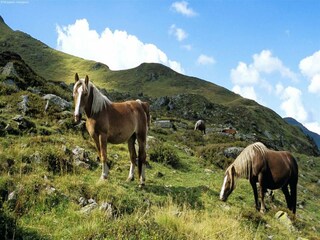 Appartamento Saalbach Ambiente 27