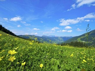 Apartment Saalbach Environment 23
