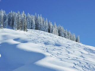 Apartment Saalbach Environment 32