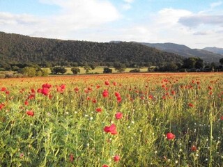 Casa per le vacanze Trevi Ambiente 22
