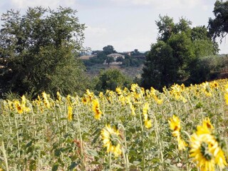 Ferienhaus Trevi Umgebung 21