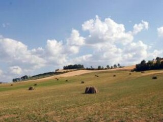 Vakantiehuis Trevi Omgeving 22