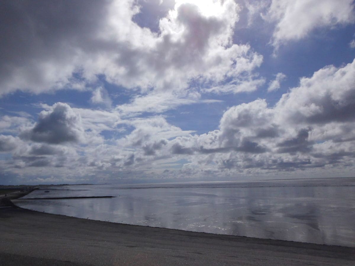 Blick aufs Wattenmeer