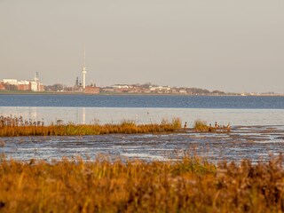 Wilhelmshaven aus der Sicht von Cäciliengroden