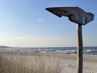 BADESTRAND IN ZEMPIN