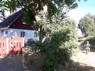 Gemütliches Ferienhaus mit großem eingezäunten Garten