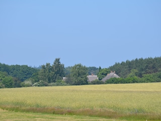 Bauernhof im Hinterland