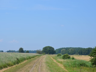 Wanderweg auf dem Deich