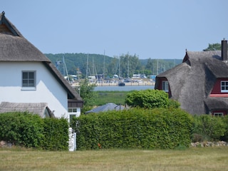 Yachthafen am Achterwasser