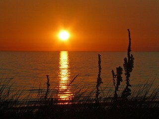 Vakantieappartement Egmond aan Zee Omgeving 31