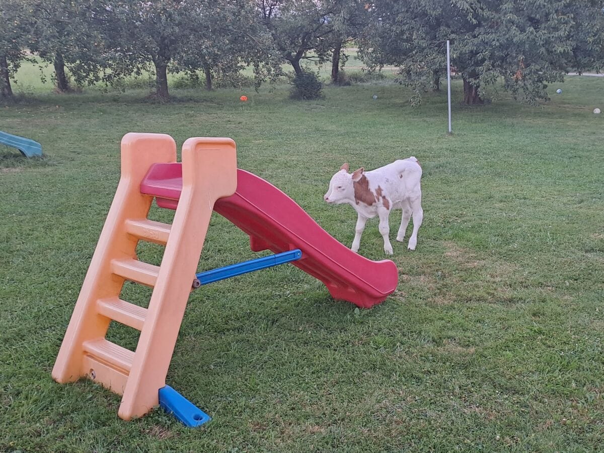 Garten mit Spielplatz