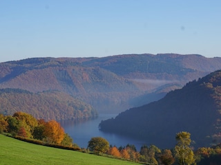 Rursee im Herbst mit Nebel