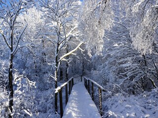Das Hohe Venn im Winter