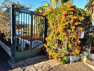Bungalow La Victoria de Acentejo Registrazione all'aperto 7