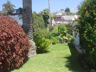 Blick in den Garten