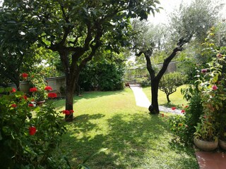 Holiday apartment Massa Environment 3