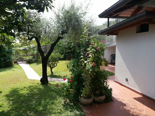 Holiday apartment Massa Environment 5