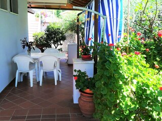 Holiday apartment Massa Environment 7