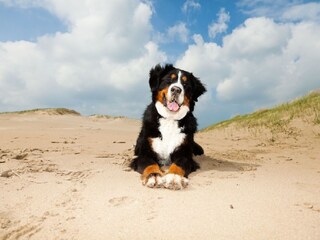 Appartamento per vacanze Braderup (Sylt) Ambiente 15