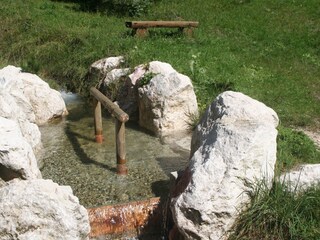 Trettbecken am Forellenteich