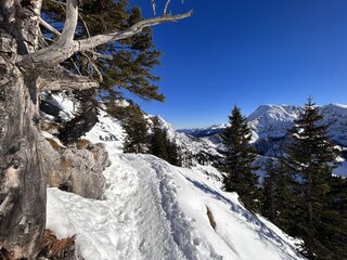 Blick zum Schneibstein am Jenner