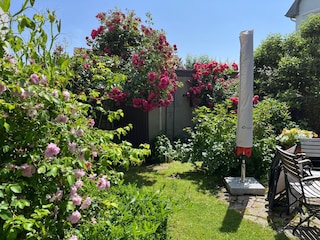 Ferienwohnung Eschwege Umgebung 8