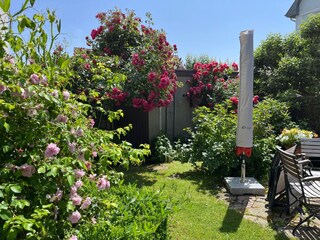 Holiday apartment Eschwege Outdoor Recording 5