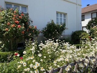 Ferienwohnung Eschwege Außenaufnahme 7