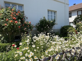 Ferienwohnung Eschwege Umgebung 10