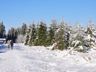 Holiday apartment Eschwege Environment 23