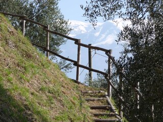 Spaziergang auf dem Gelände
