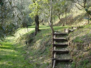 Spaziergang auf dem Gelände