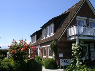 Blick in den Garten