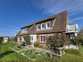Blick in den Garten