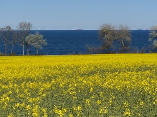 Blick vom Balkon auf das Meer