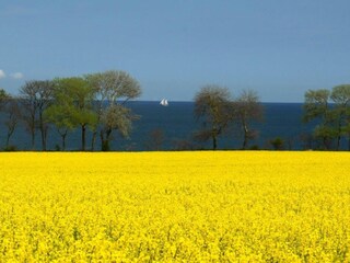 Blick vom Balkon der Meerblick-Wohnung auf die Ostsee