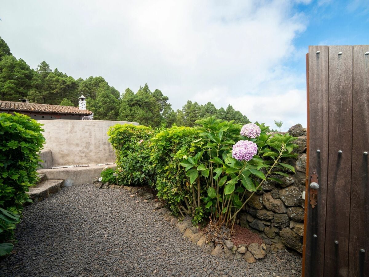 Ferienhaus Icod de los Vinos Außenaufnahme 7