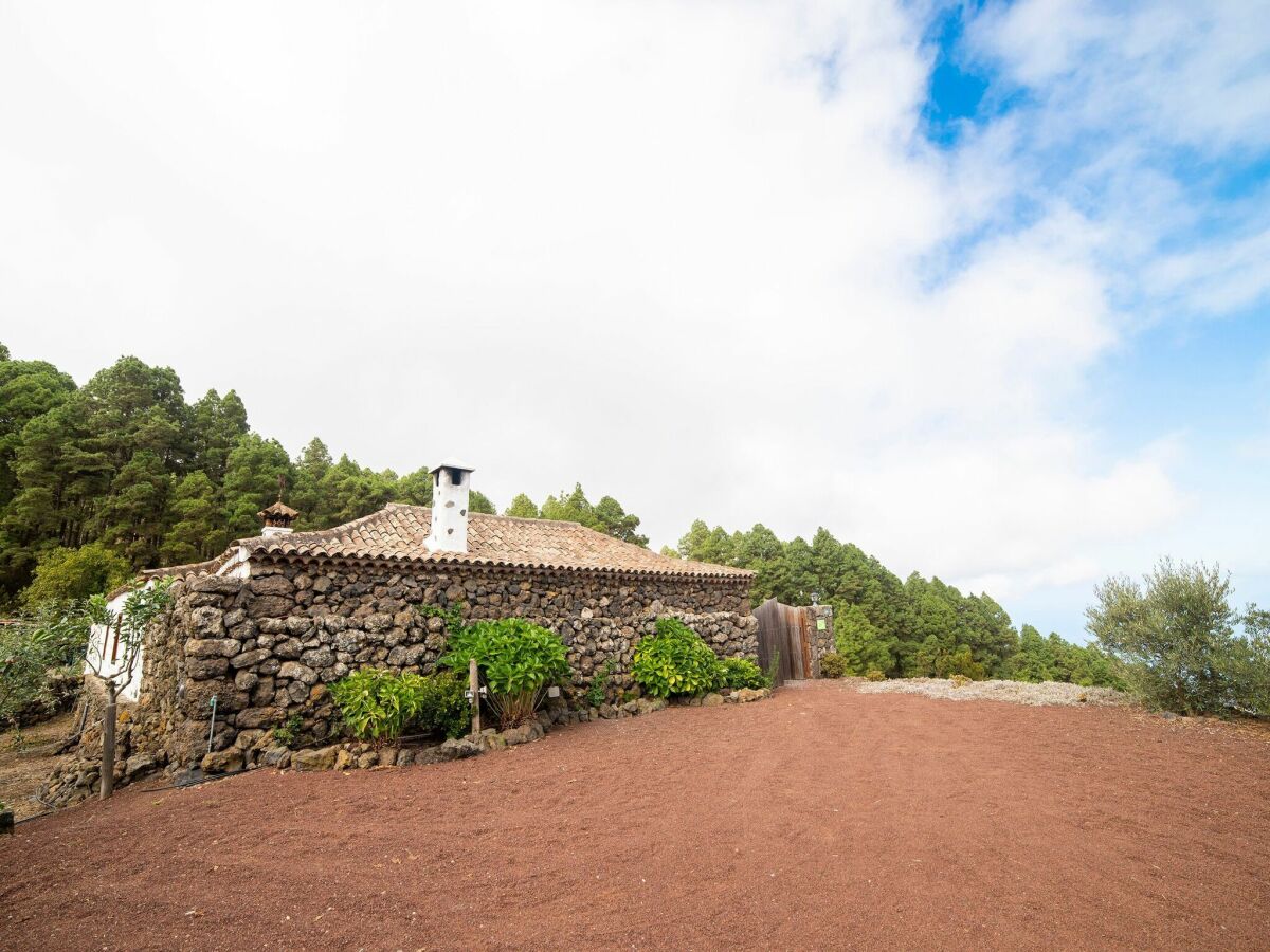 Ferienhaus Icod de los Vinos Umgebung 32