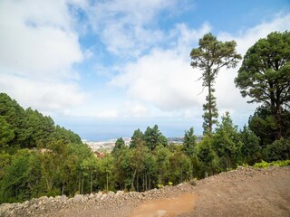 Casa per le vacanze Icod de los Vinos Ambiente 33