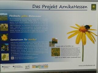 Das Projekt Arnika