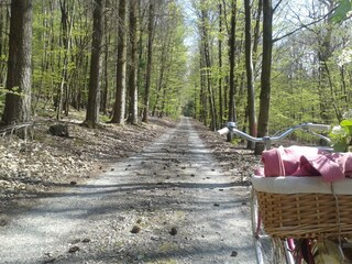 Appartamento per vacanze Herborn Ambiente 17