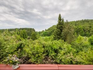 Ferienhaus Schwedenhaus Glühalm - Landkreis Waldeck-Frankenberg (Sauerland) - image1