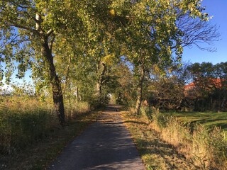 Appartamento per vacanze Tossens Ambiente 28