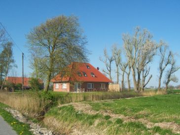 Holiday apartment Breekate