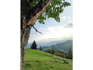 Bergwelten zum Wandern direkt vor der Haustür