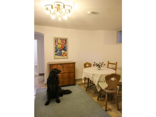 Auch große Hunde herzlich Willkommen!